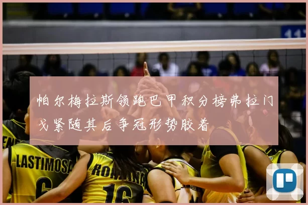 帕尔梅拉斯领跑巴甲积分榜弗拉门戈紧随其后争冠形势胶着