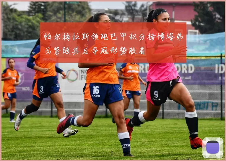 帕尔梅拉斯领跑巴甲积分榜博塔弗戈紧随其后争冠形势胶着