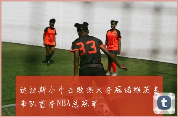 达拉斯小牛击败热火夺冠诺维茨基率队首夺NBA总冠军