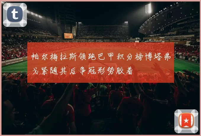 帕尔梅拉斯领跑巴甲积分榜博塔弗戈紧随其后争冠形势胶着