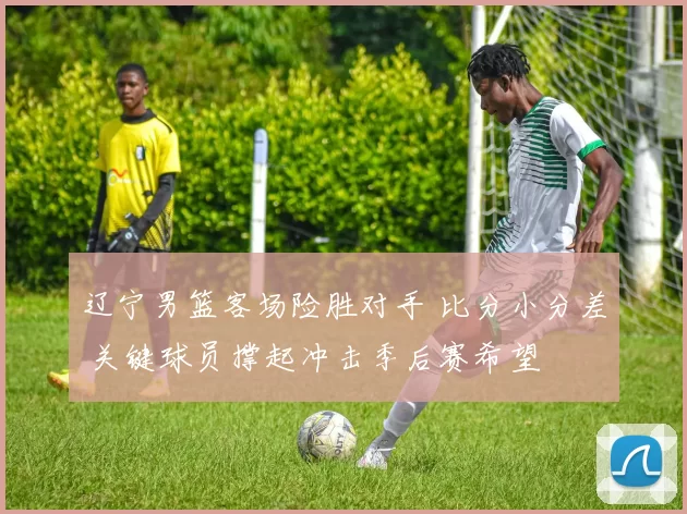 辽宁男篮客场险胜对手 比分小分差 关键球员撑起冲击季后赛希望