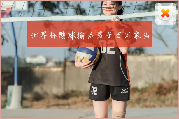 世界杯赌球输光男子百万家当