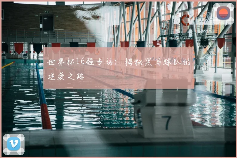 世界杯16强专访:揭秘黑马球队的逆袭之路