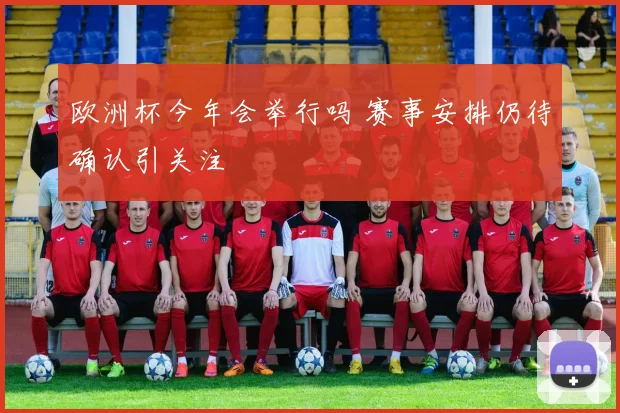 欧洲杯今年会举行吗 赛事安排仍待确认引关注